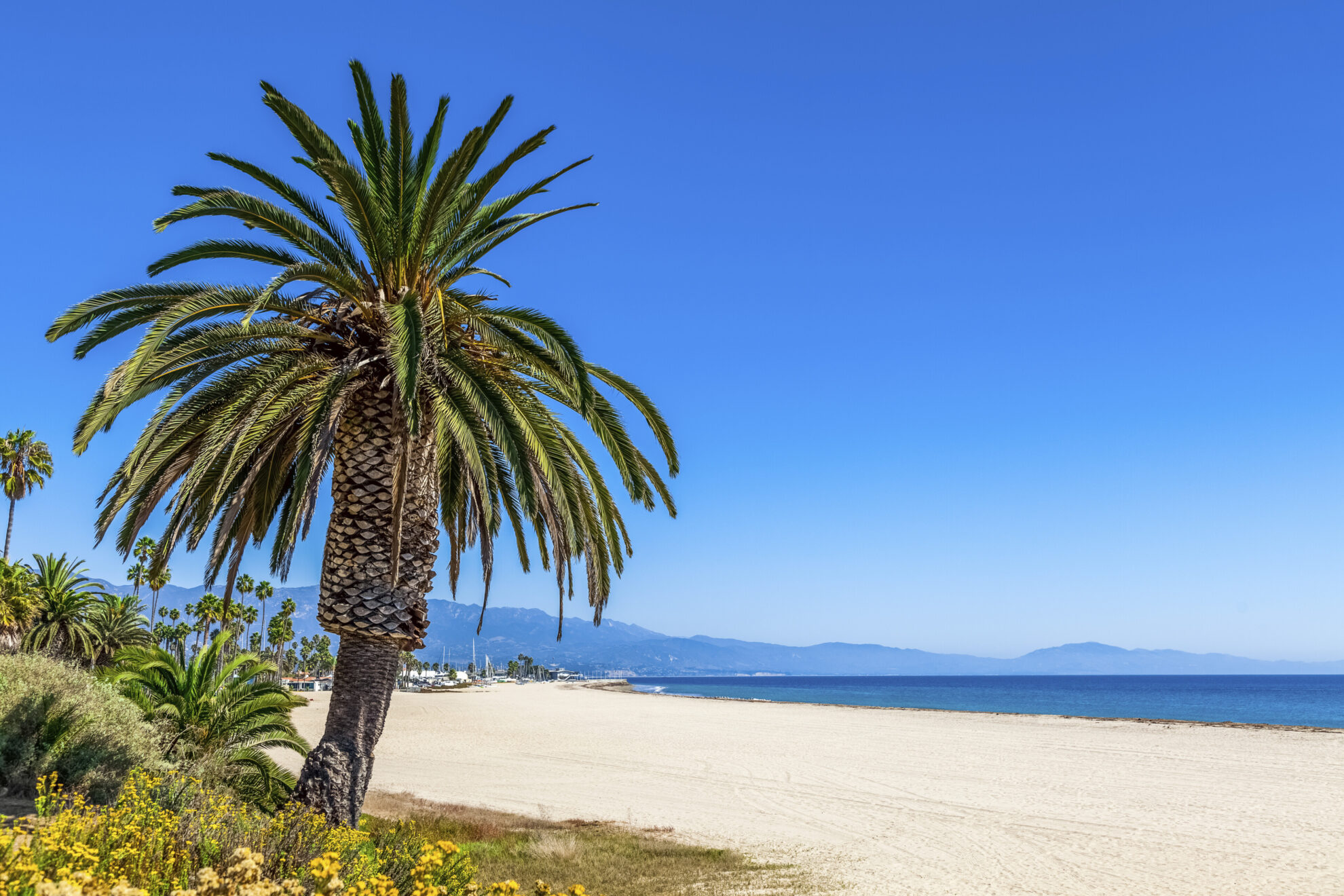 Strand von Santa Barbara, USA