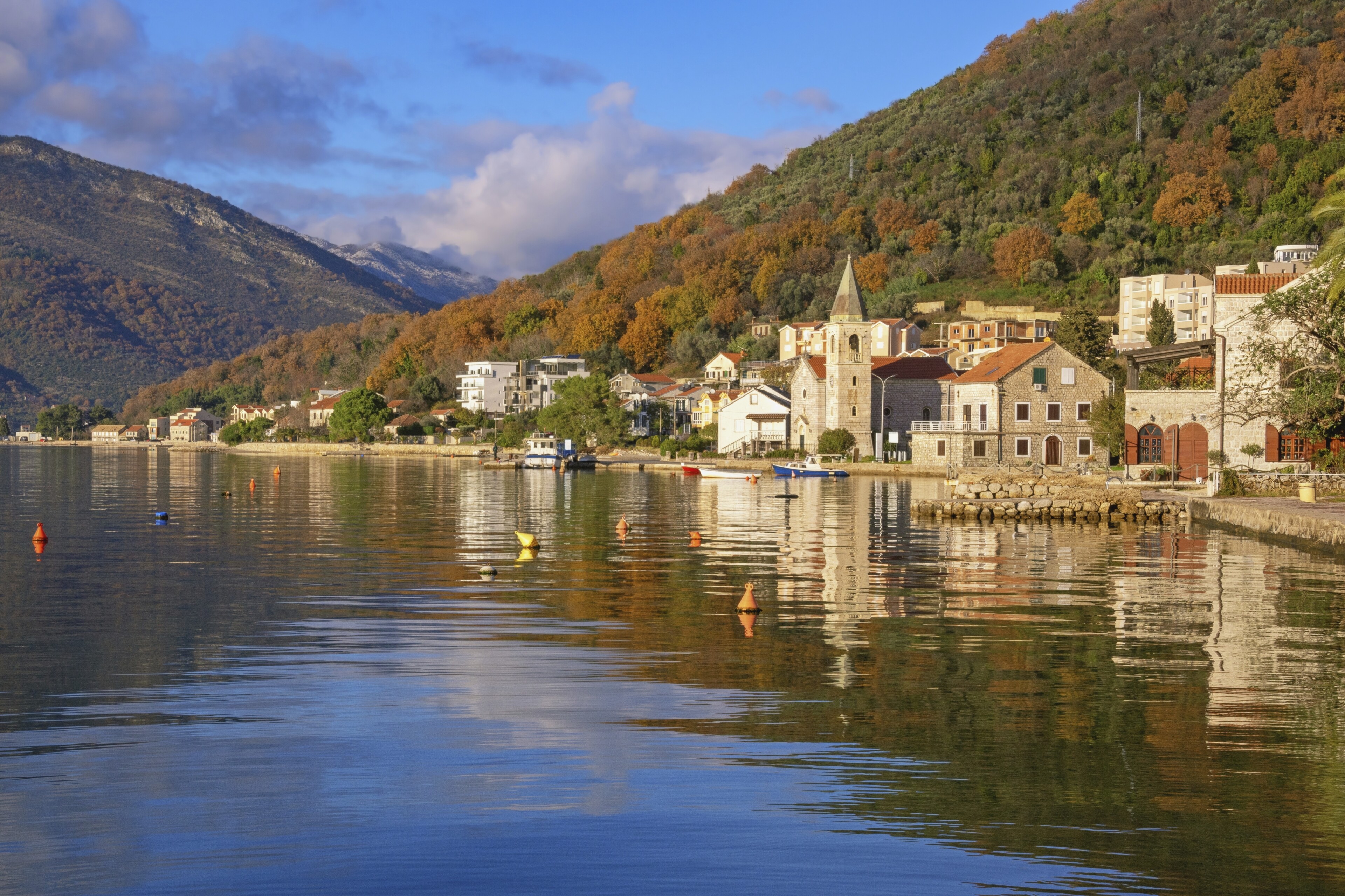 Kotor