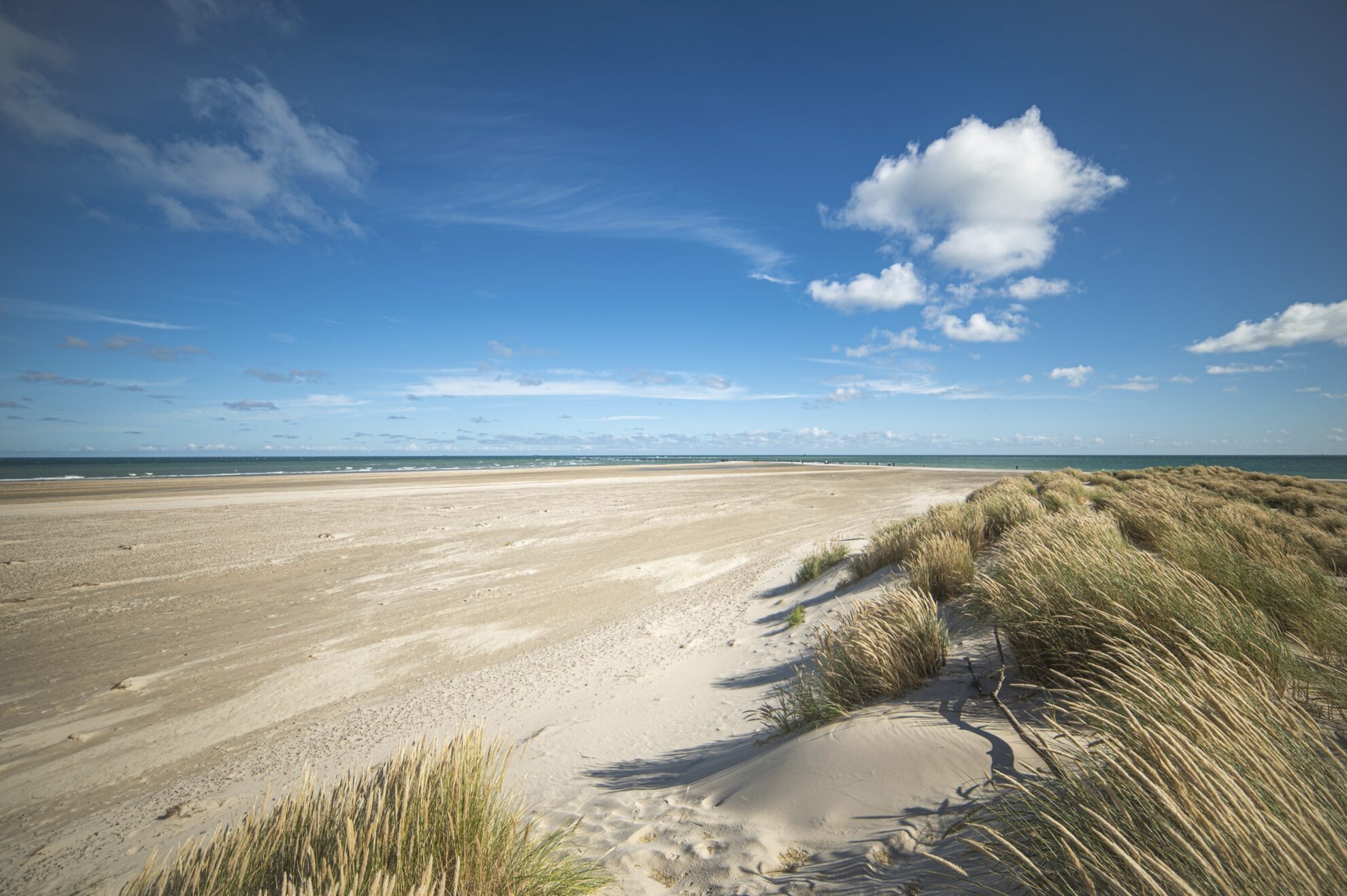 Skagen