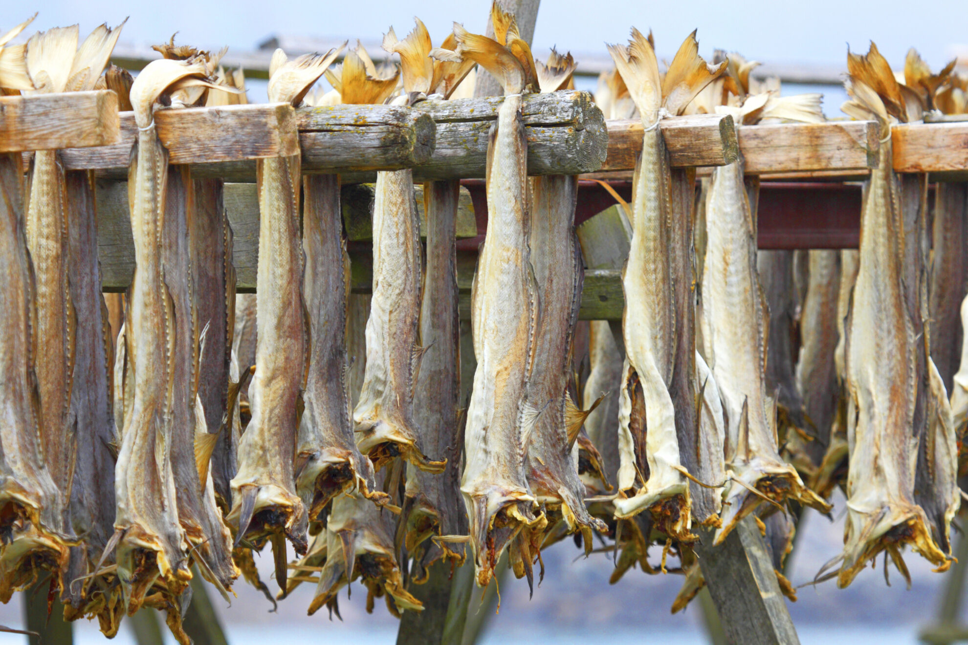 Getrockneter Fisch