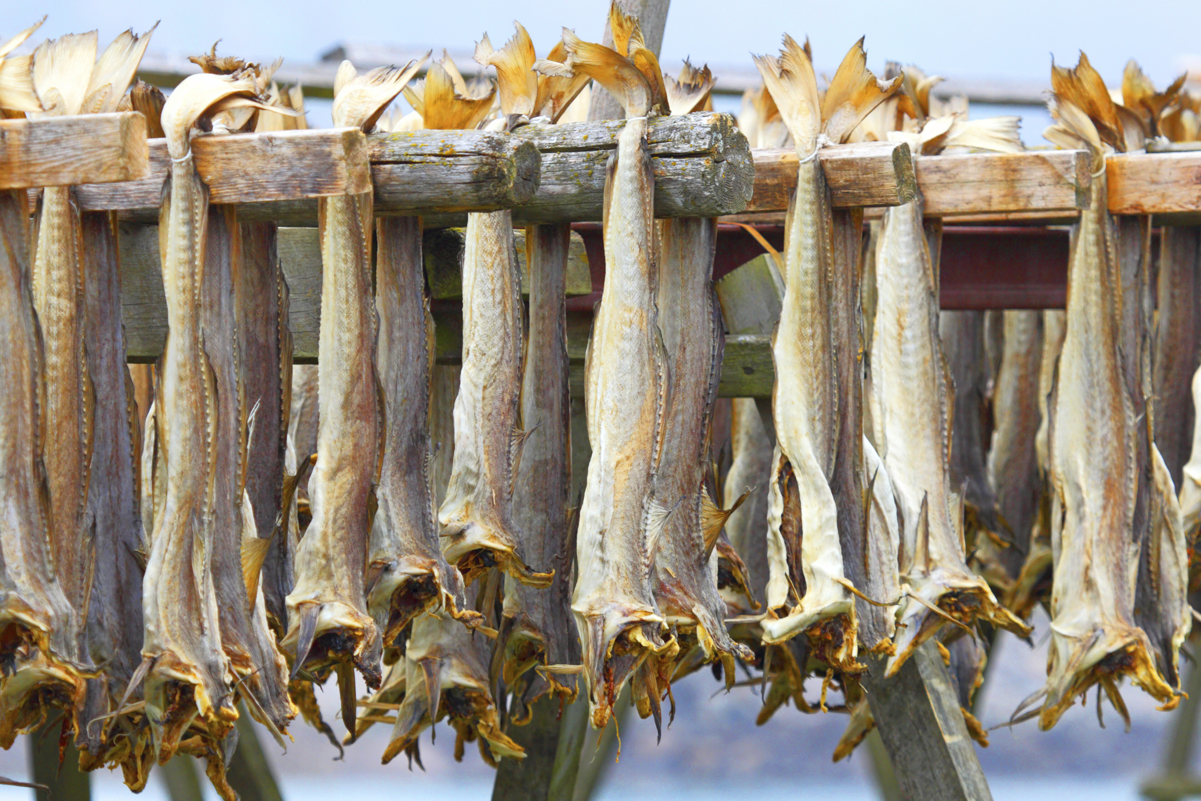 Getrockneter Fisch
