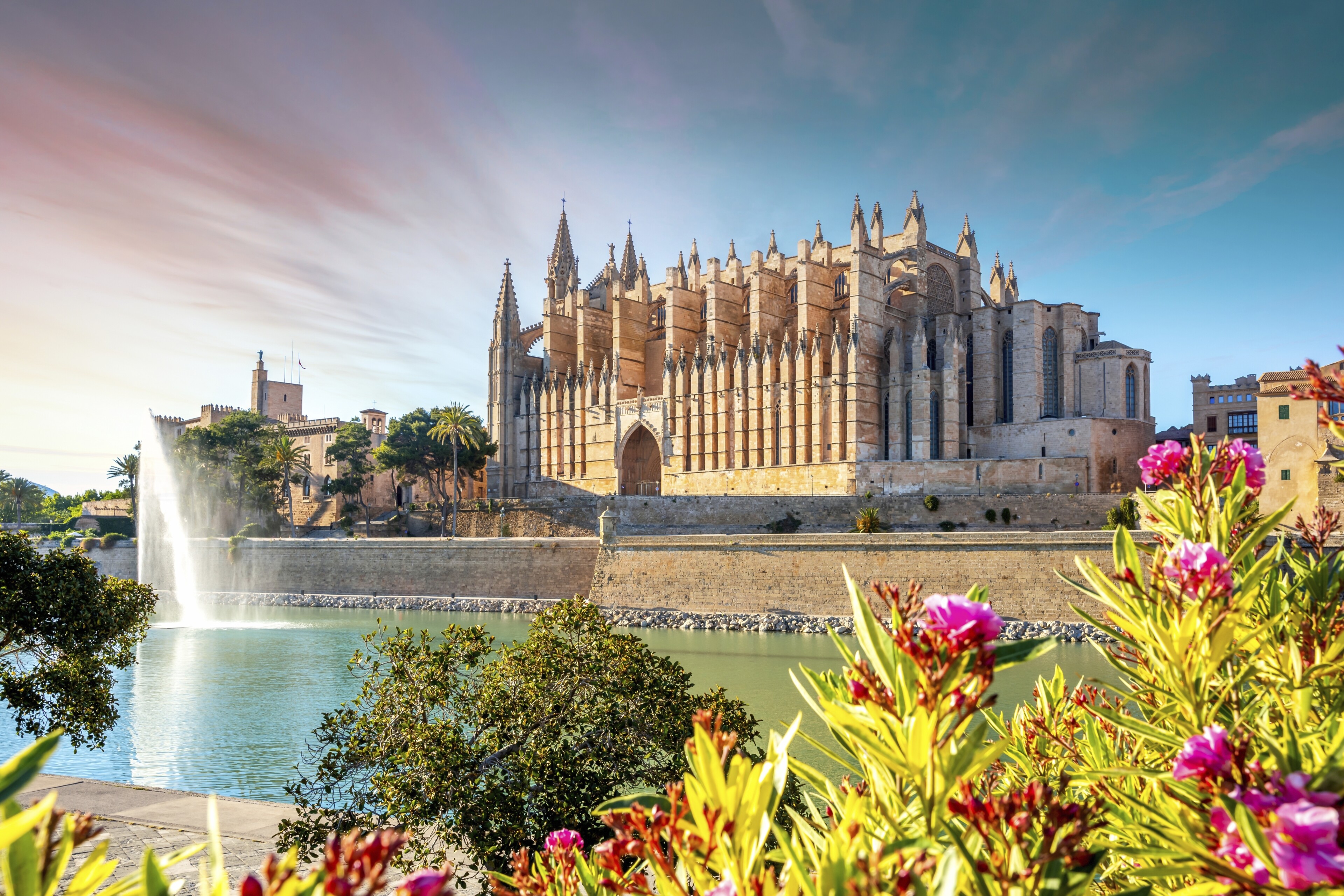 Palma