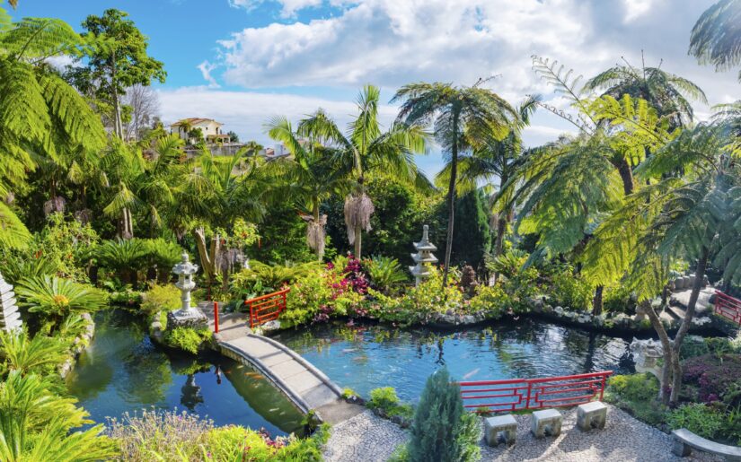 Funchal in Portugal auf einer Kreuzfahrt entdecken