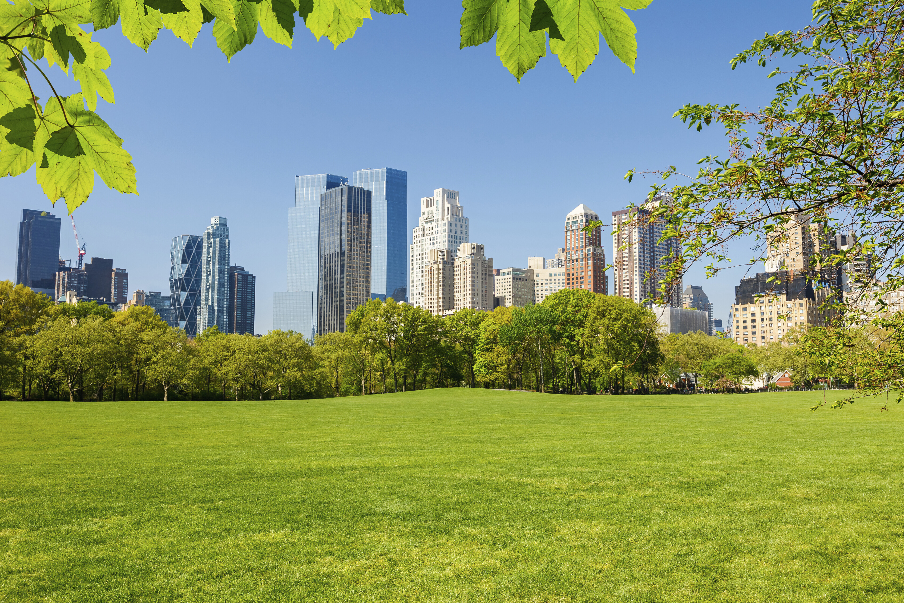 Central Park Skyline, USA