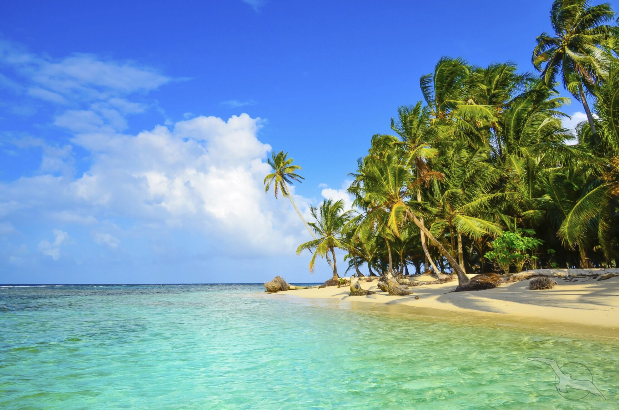 shutterstock 319930442 panama san blas kuna yala meer strand palmenjpg 3663582