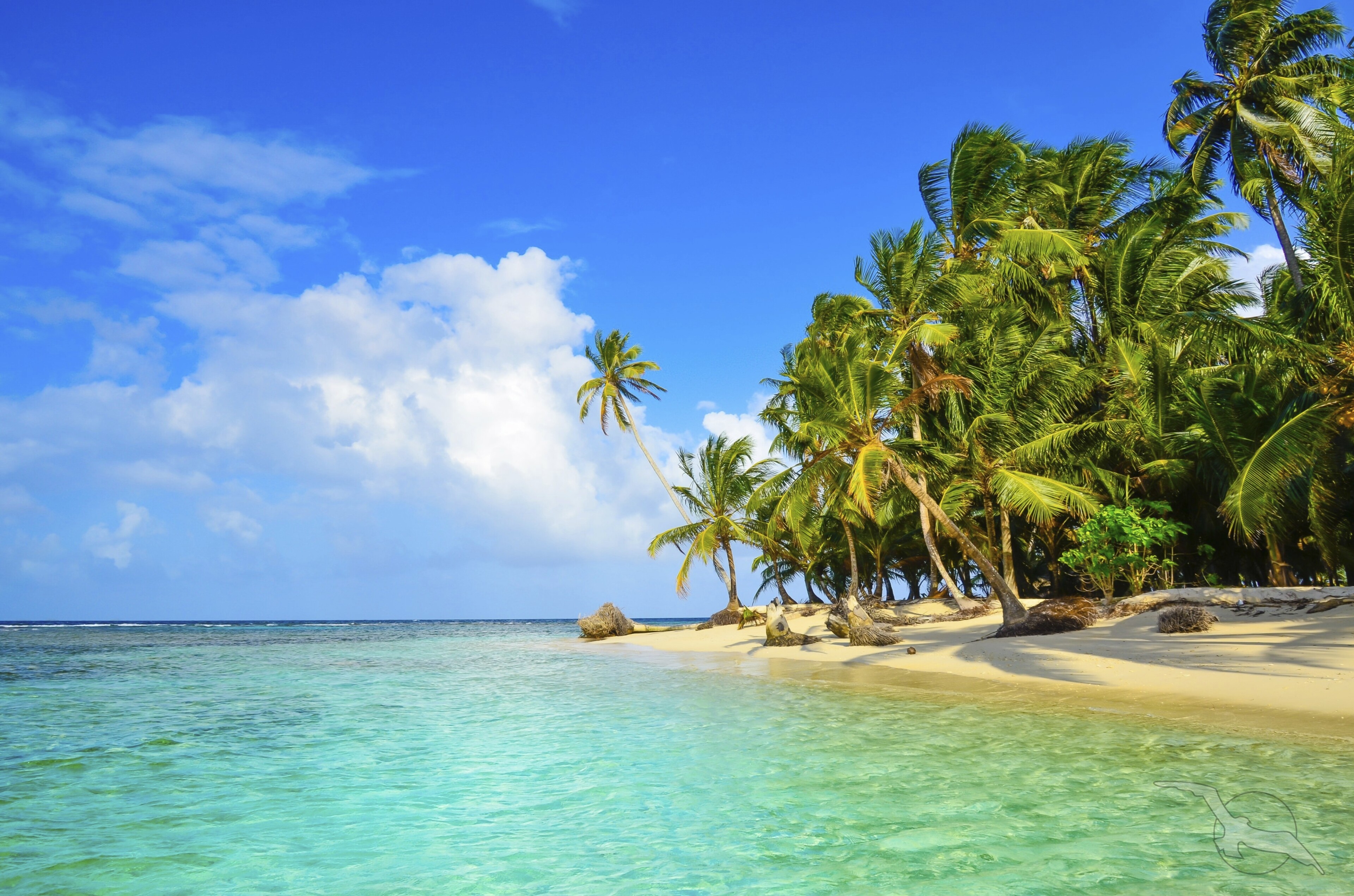 shutterstock 319930442 panama san blas kuna yala meer strand palmenjpg 3663582
