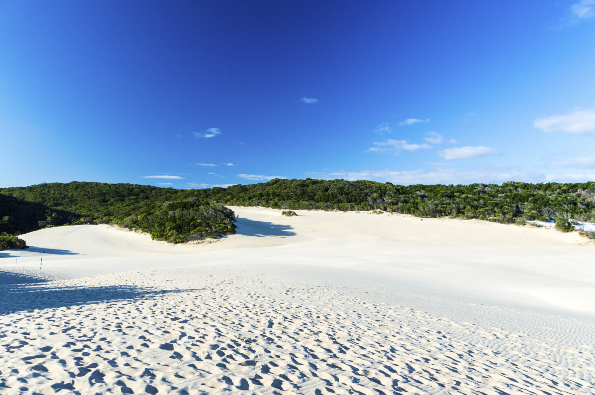 shutterstock 346695596 australien fraser island weisser strandjpg 3665125
