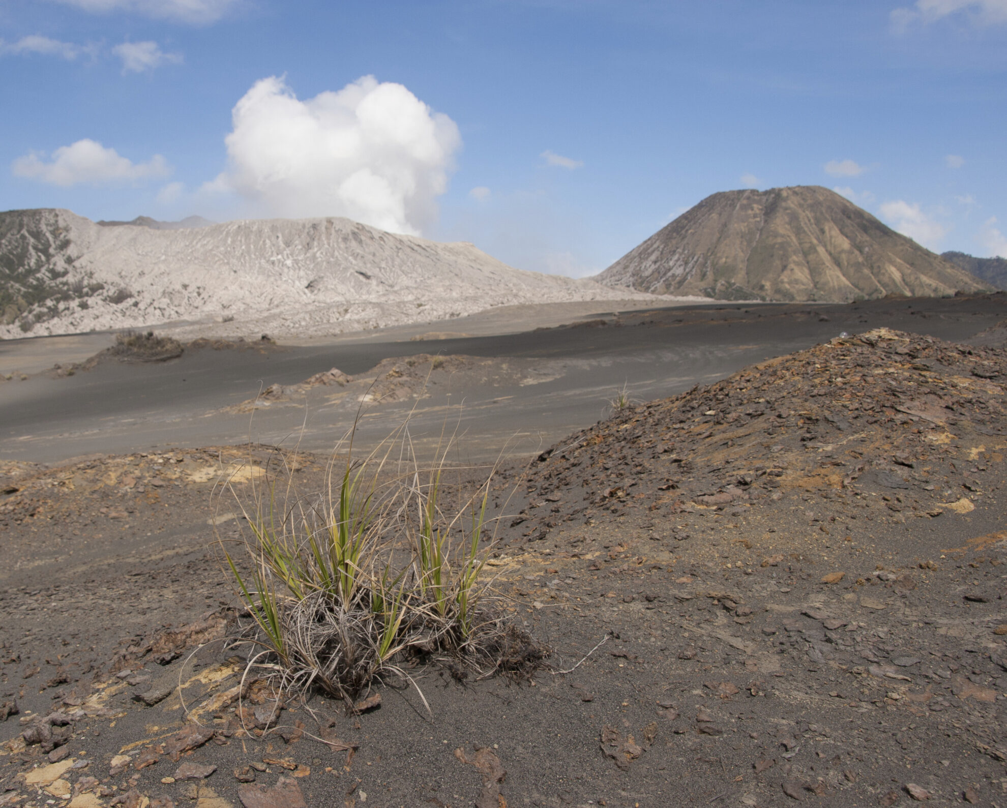 shutterstock 370949951 indonesien java probolinggo vulkan bromojpg 3655837