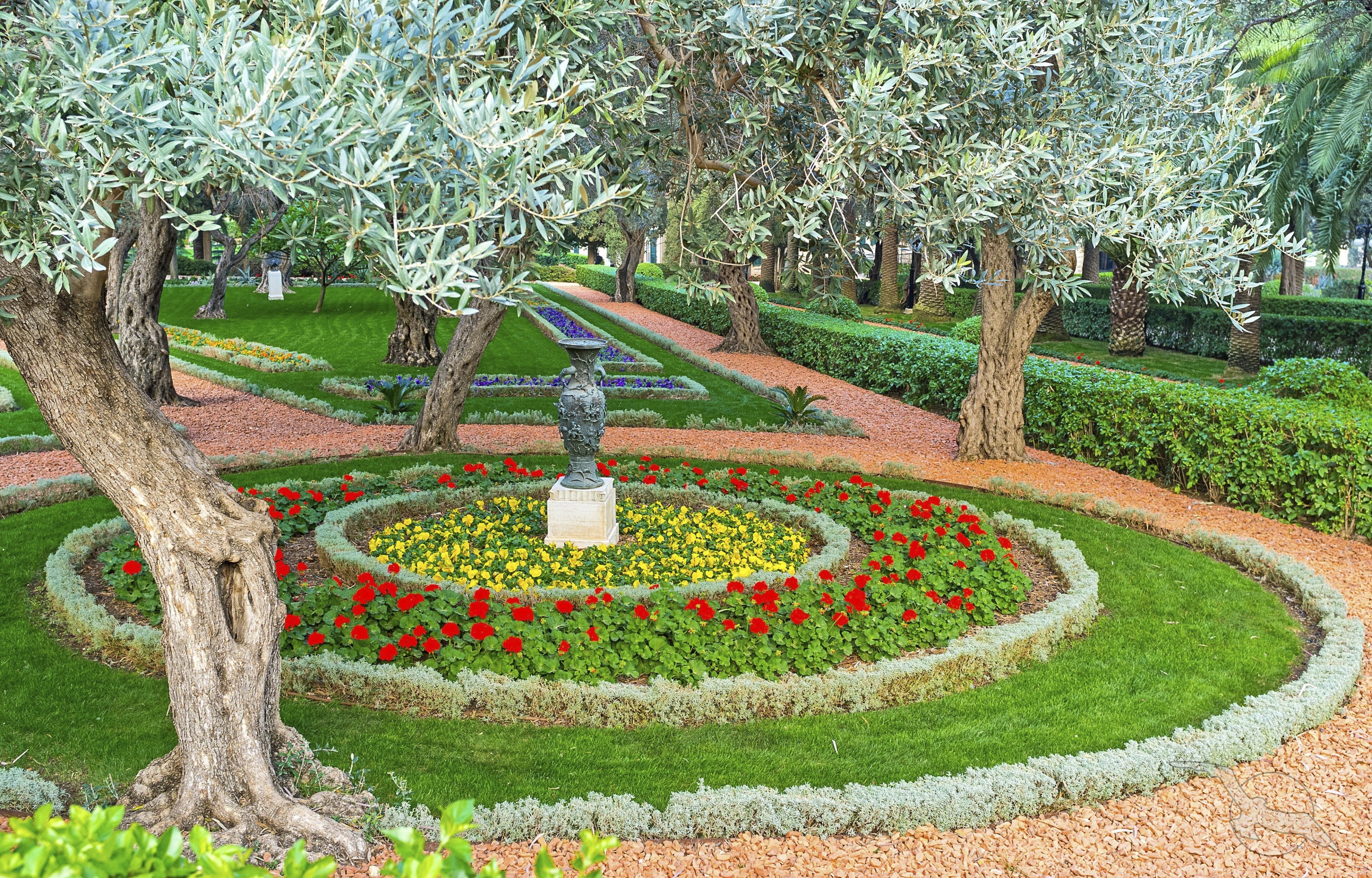 shutterstock 517873600 israel haifa bahai gaerten beete olivenbaumjpg 3663451