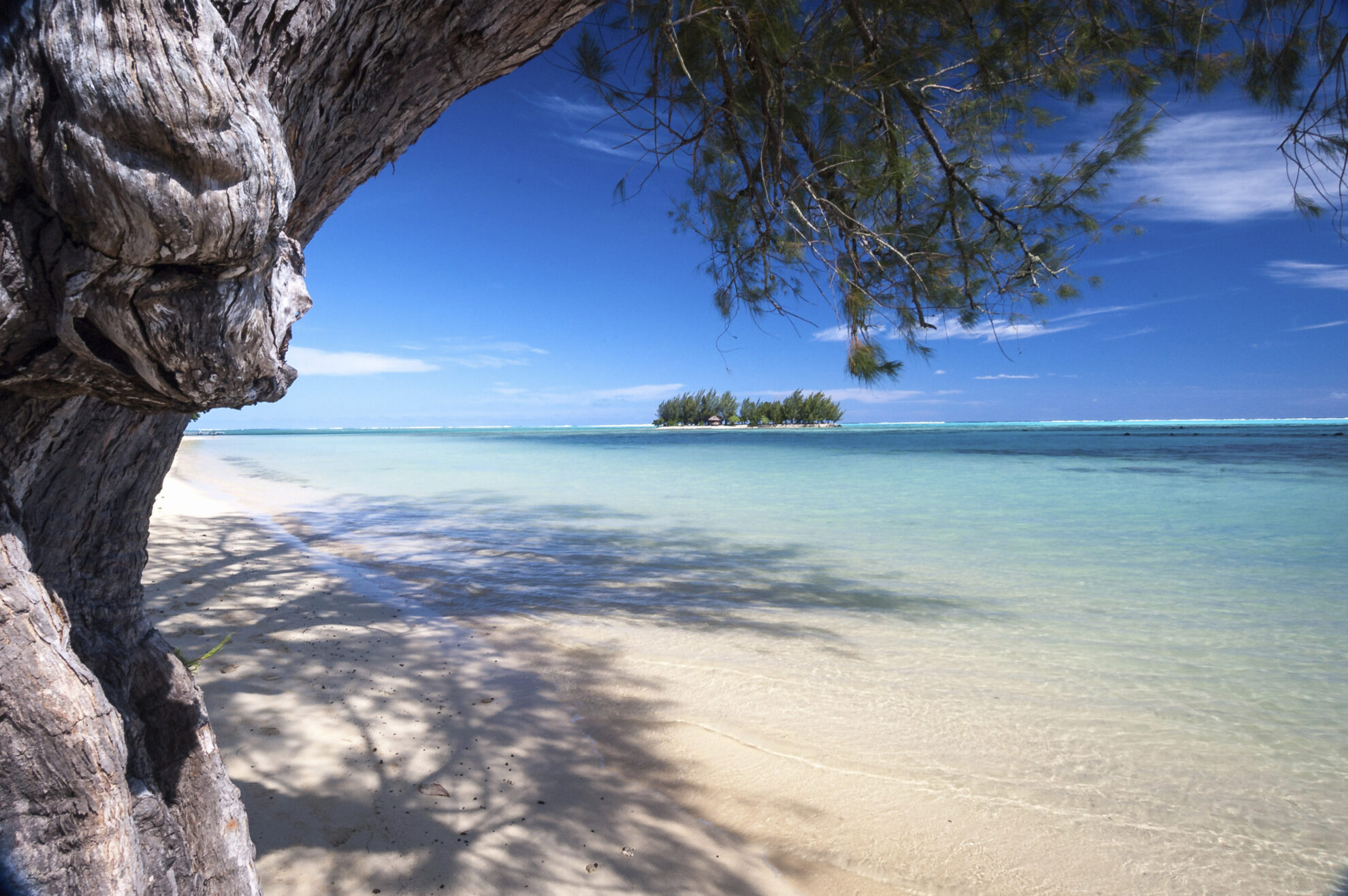 Moorea