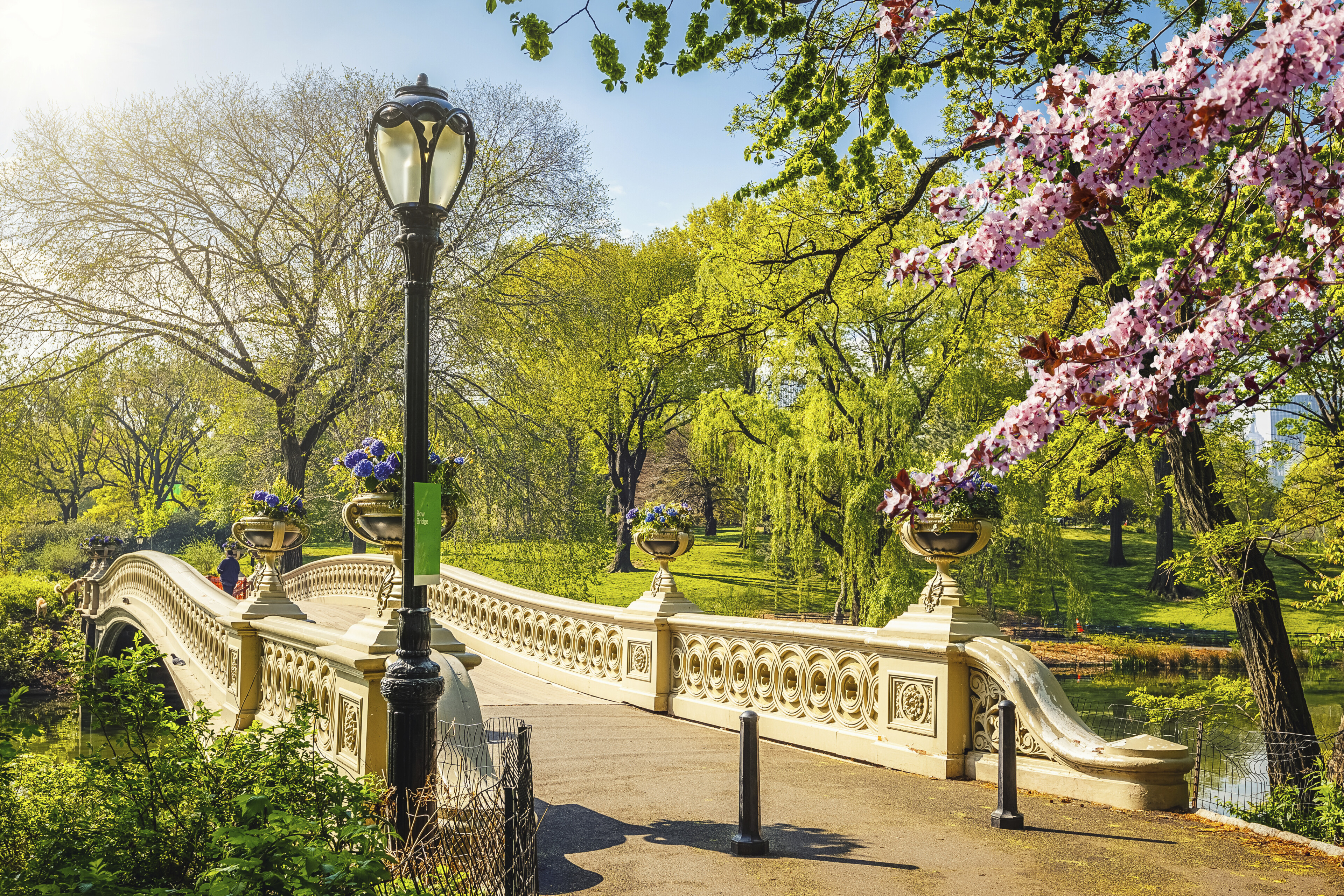 Brücke im Central Park, USA