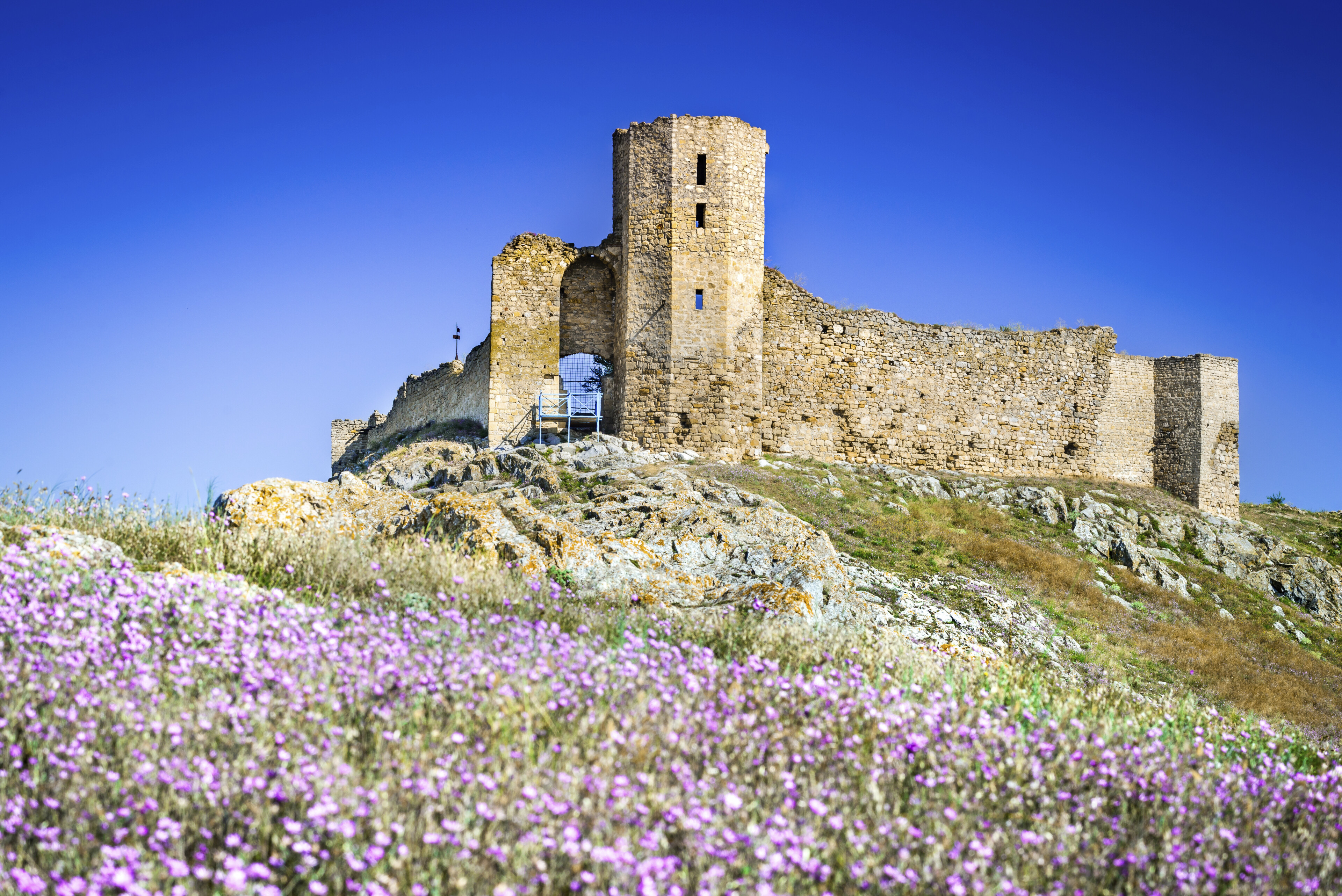 shutterstock 699921700 rumaenien dobruja tulcea medievaljpg 3691253