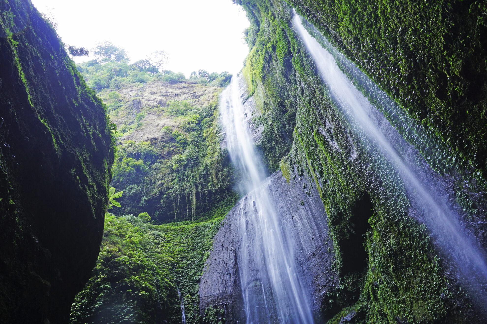 shutterstock 708472786 indonesien probolinggo city bromo tengger semuru nationalpark madakaripura wasserfalljpg 3677076